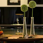 Pine And Lime 普拉