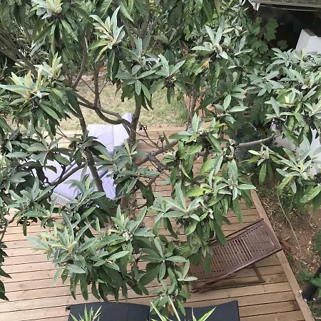 Apartmán Pine And Lime *