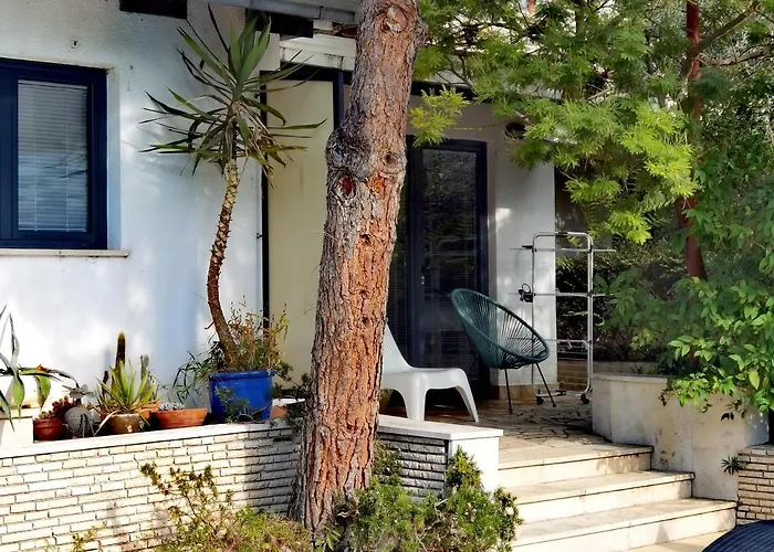 Pine And Lime * Πούλα