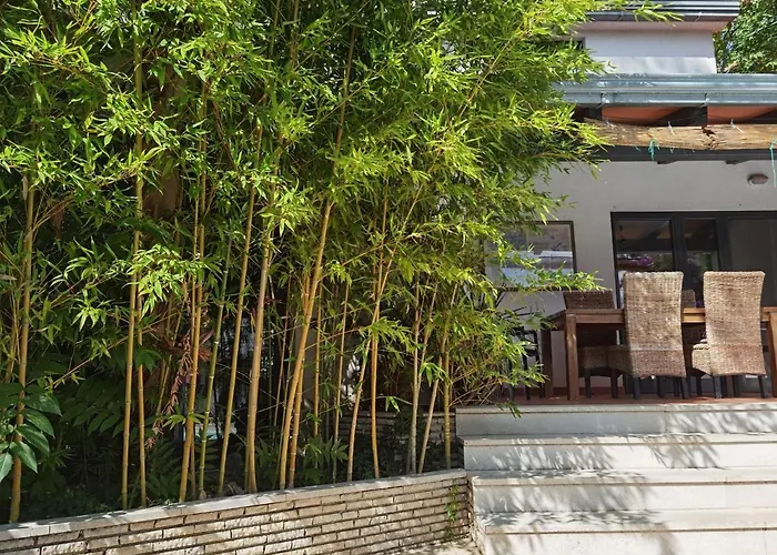 Pine And Lime Πούλα