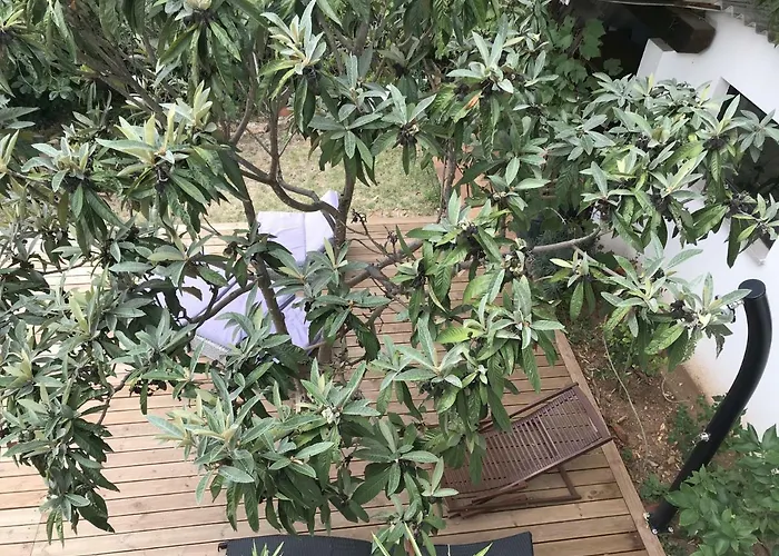 Διαμέρισμα Pine And Lime *