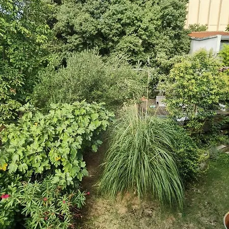 Apartmán Pine And Lime