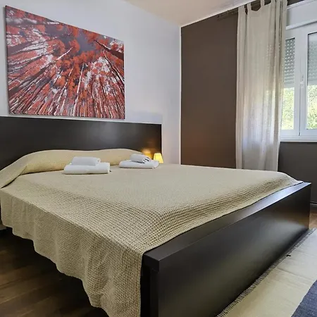 Pine And Lime Apartment